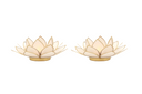 Light of Lotus