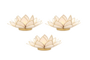 Light of Lotus