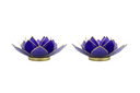 Light of Lotus