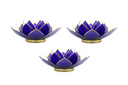 Light of Lotus