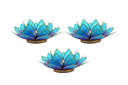 Light of Lotus