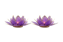 Light of Lotus