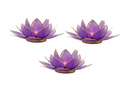Light of Lotus