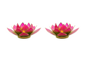 Light of Lotus