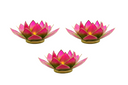 Light of Lotus