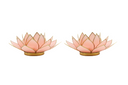 Light of Lotus
