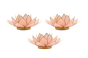 Light of Lotus