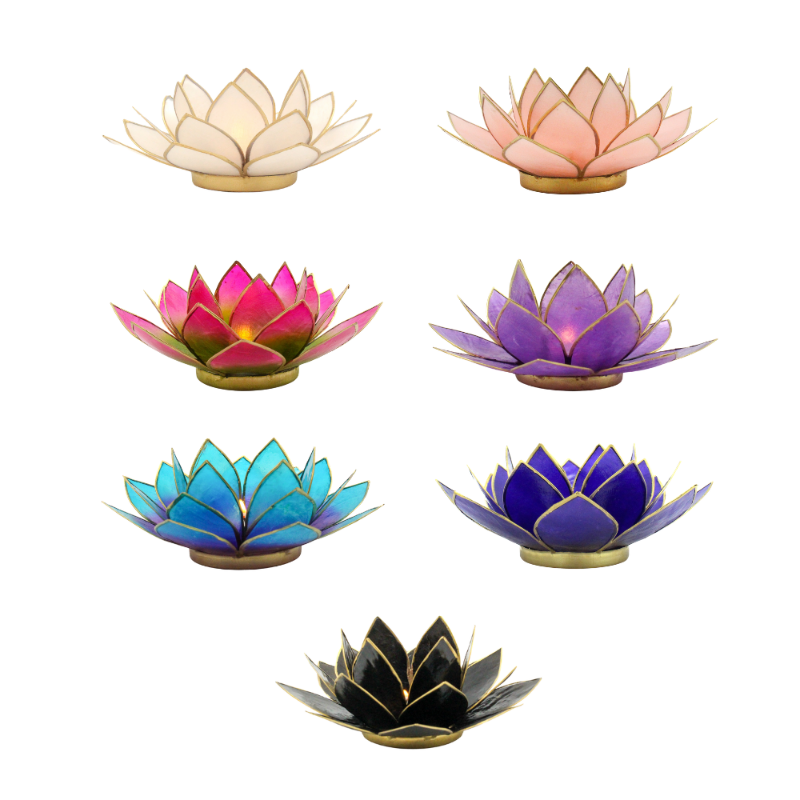 Light of Lotus