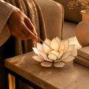 Light of Lotus