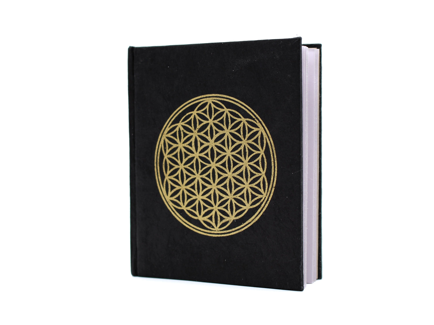 Pocket Journal