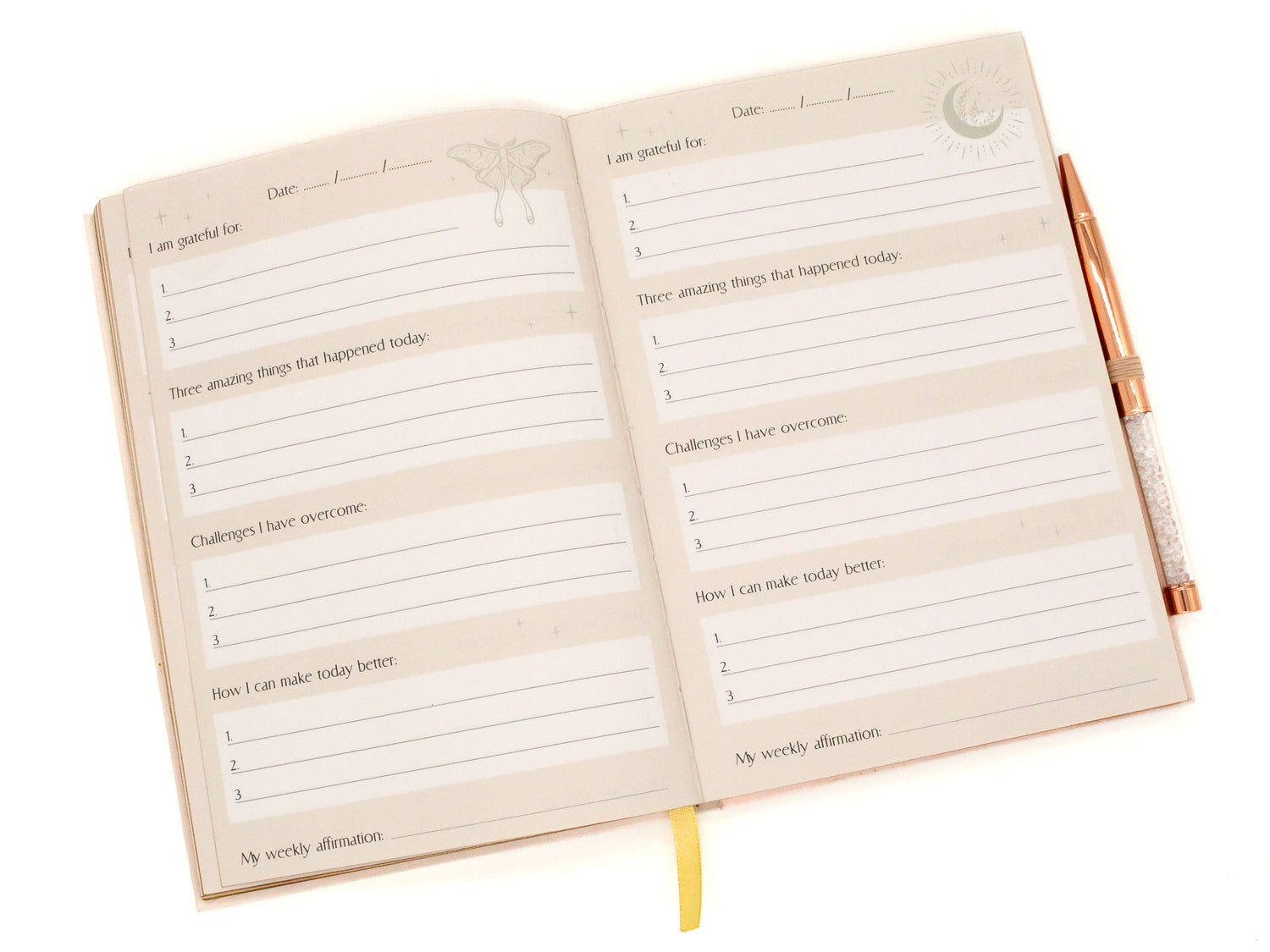 Daily Reflection Journal
